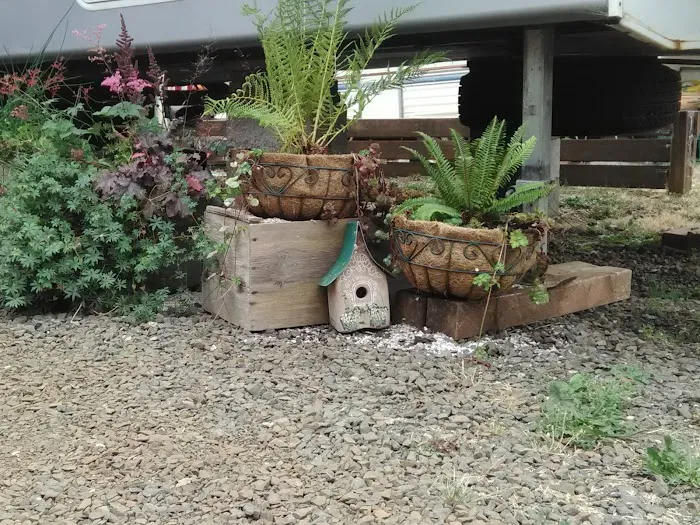 Sunset Landing RV Park Picture 10