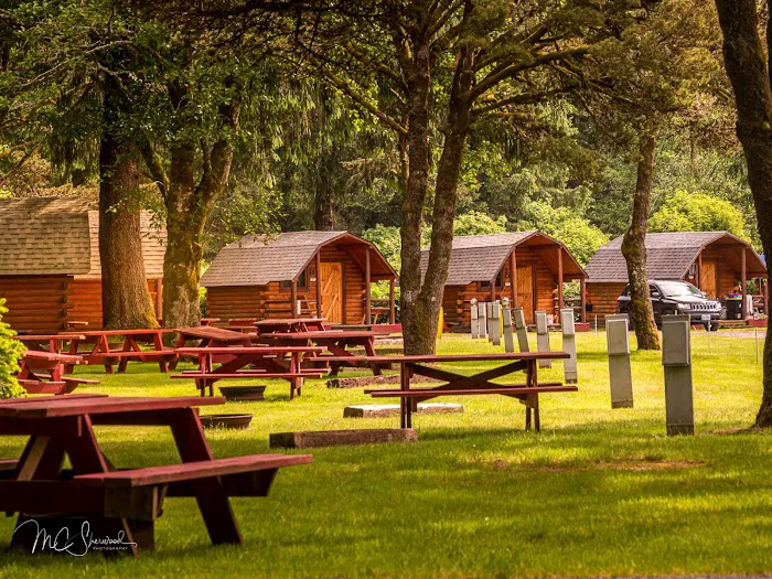 Lincoln City KOA Holiday Picture 6