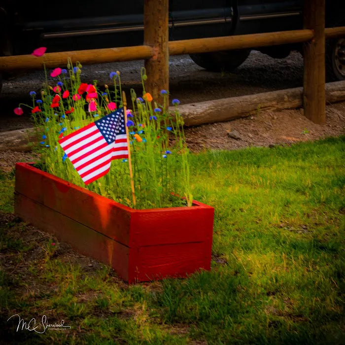 Lincoln City KOA Holiday Picture 3