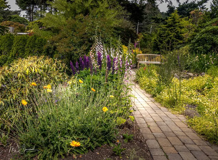 Lincoln City KOA Holiday Picture 8