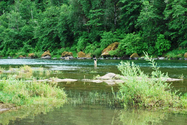 Umpqua Riverfront RV Park & Boat Ramp Picture 4