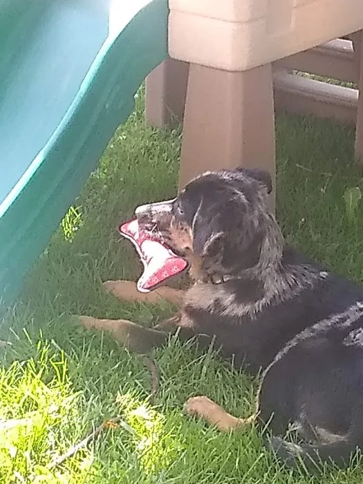 Westview Estates MHC Picture 3