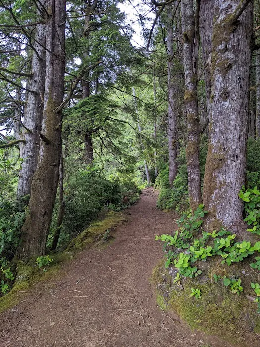William M. Tugman State Park Campground Picture 9