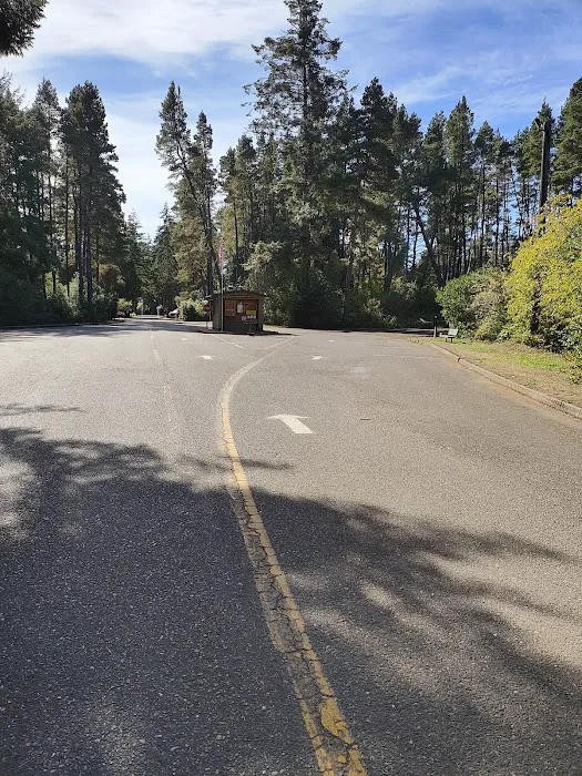 William M. Tugman State Park Campground Picture 3