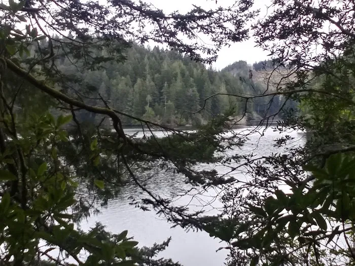 Tugman State Park Campground Picture 9