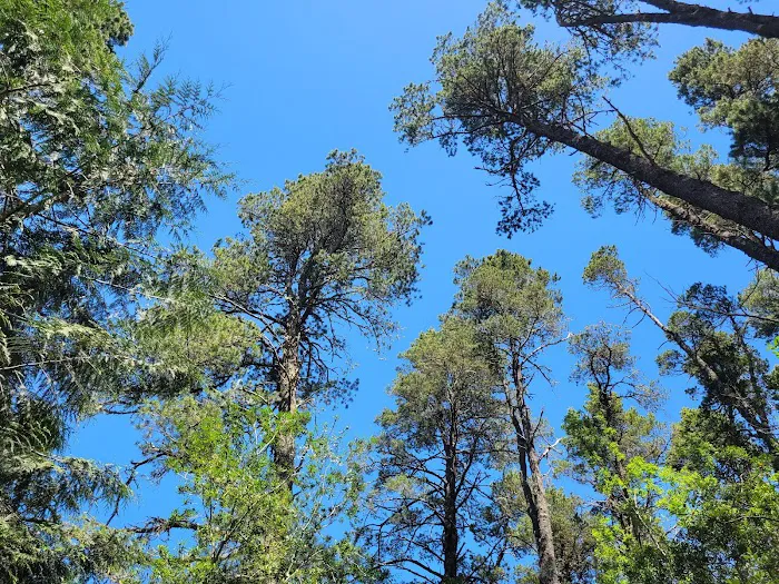 Tugman State Park Campground Picture 1