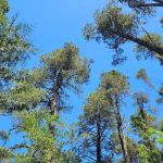 Tugman State Park Campground