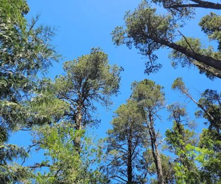 Tugman State Park Campground