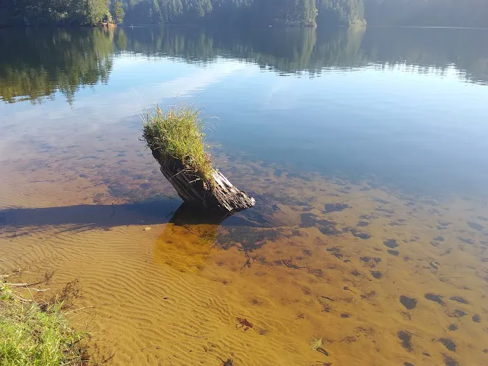 Tugman State Park Campground Picture 10
