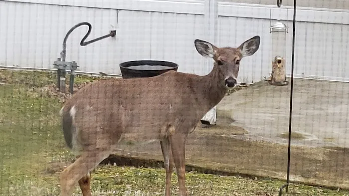 Madison City Mobile Home Community Picture 3