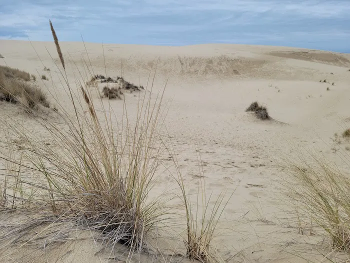 Eel Creek Campground Picture 3