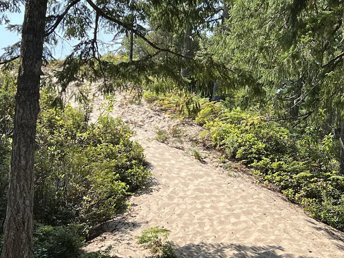 Eel Creek Campground Picture 5