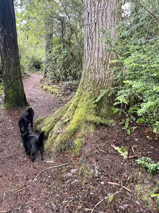 Eel Creek Campground Picture 7