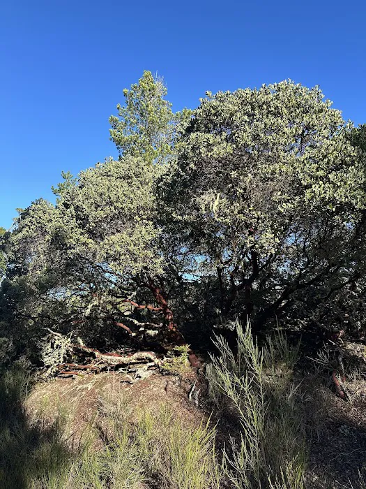 Eel Creek Campground Picture 4