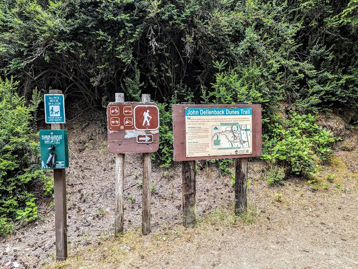 Eel Creek Campground Picture 9