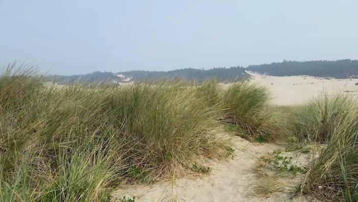 Douglas County Parks Department Picture 2