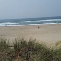 Douglas County Parks Department ico