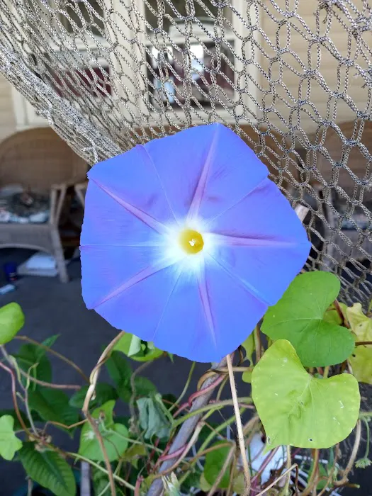 Greenfield Estates Mobile Park Picture 1