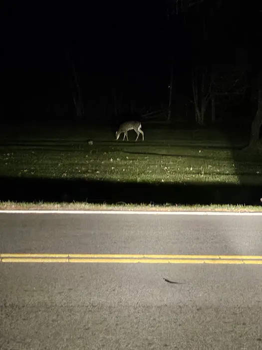 Greenfield Estates Mobile Park Picture 4