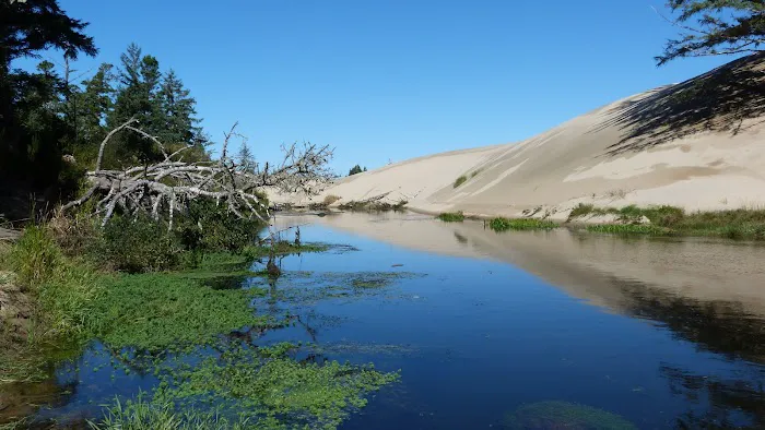 Spinreel Campground Picture 8