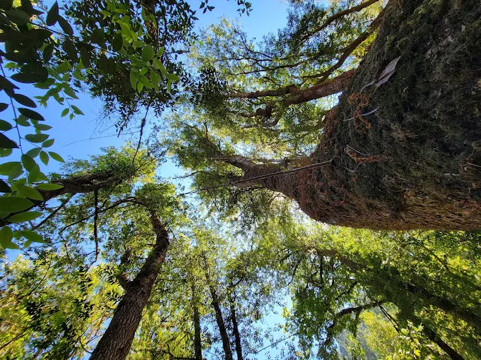 Eagleview Group Campground Picture 8