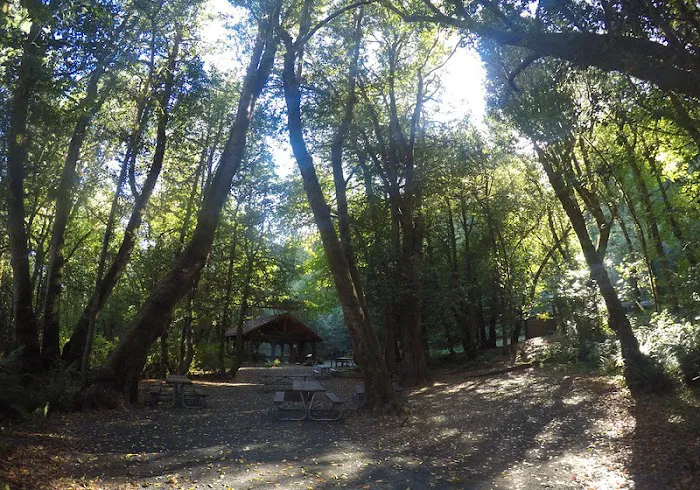 Eagleview Group Campground Picture 6