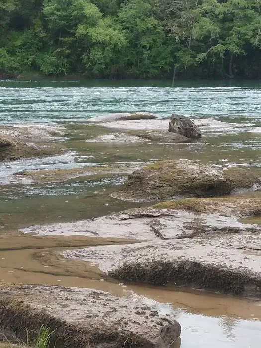 Eagleview Group Campground Picture 10