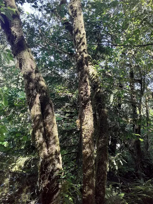 Eagleview Group Campground Picture 7