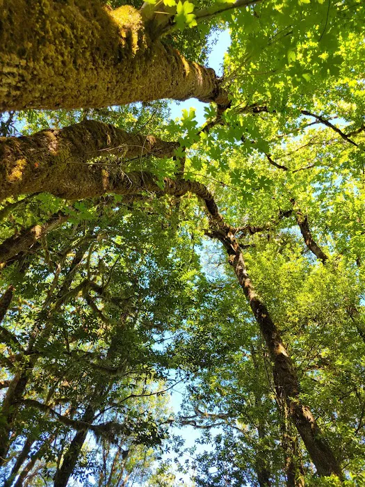 Eagleview Group Campground Picture 5