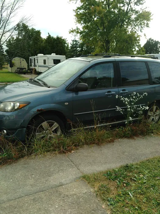 Coble Village Mobile Home Park Picture 2