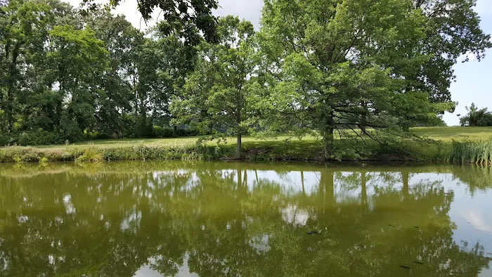 Coble Village Mobile Home Park Picture 5