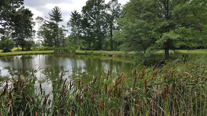 Coble Village Mobile Home Park Picture 4