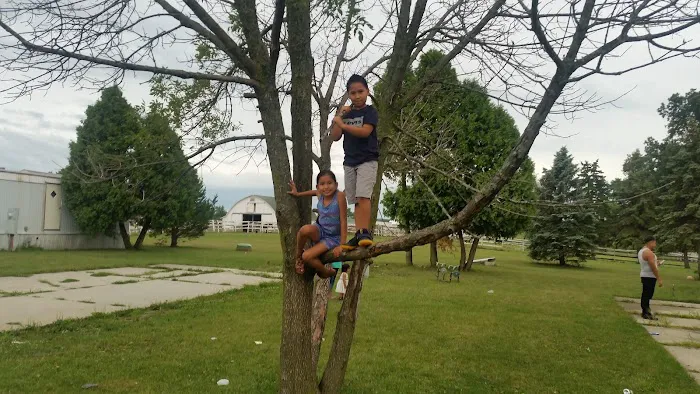 Coble Village Mobile Home Park Picture 8