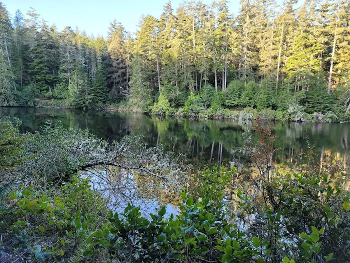 Umpqua Lighthouse State Park Campground Picture 1