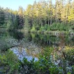 Umpqua Lighthouse State Park Campground