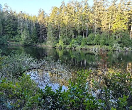Umpqua Lighthouse State Park Campground