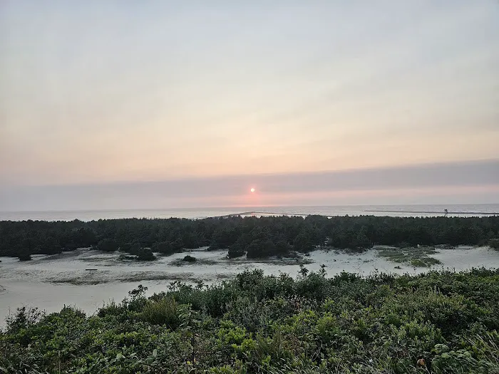 Umpqua Lighthouse State Park Campground Picture 9