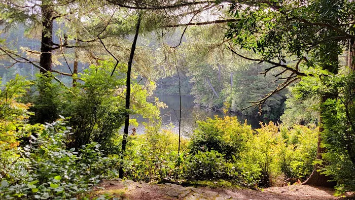 Umpqua Lighthouse State Park Campground Picture 4