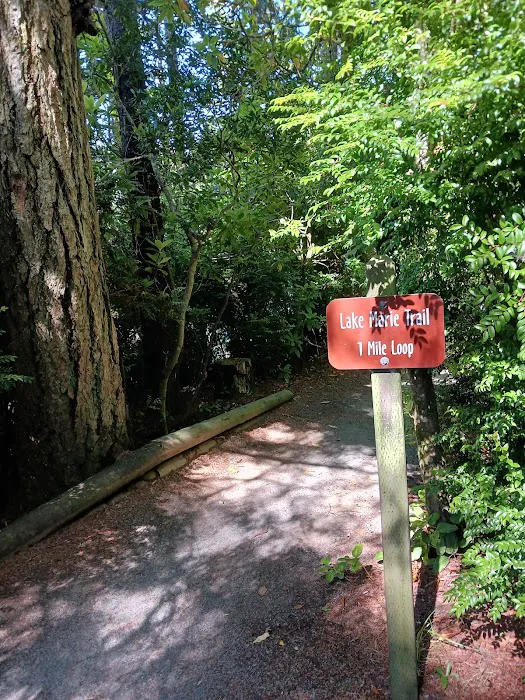 Umpqua Lighthouse State Park Campground Picture 5