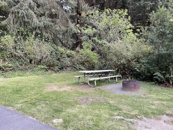 Umpqua Lighthouse State Park Campground Picture 7