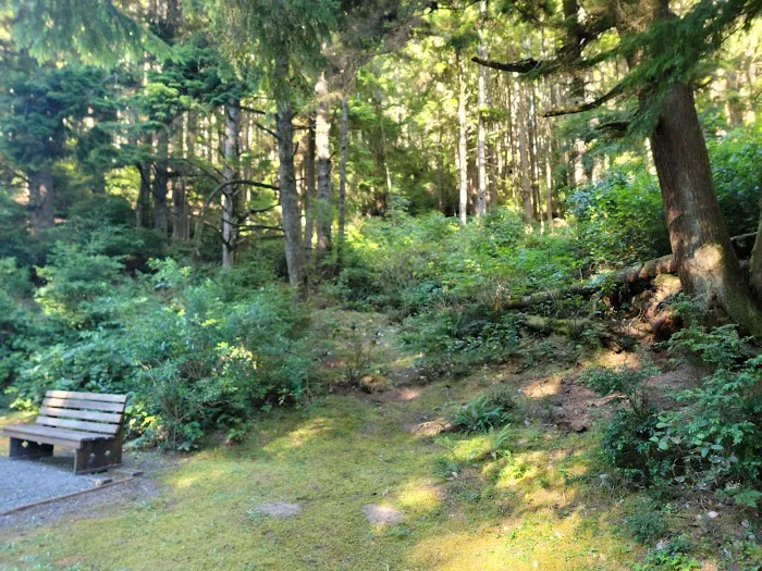 Umpqua Lighthouse State Park Campground Picture 3