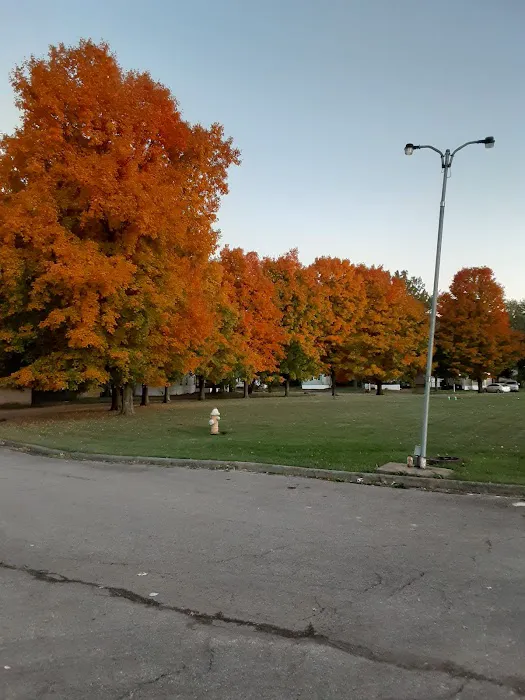 Wooded Estates Picture 2