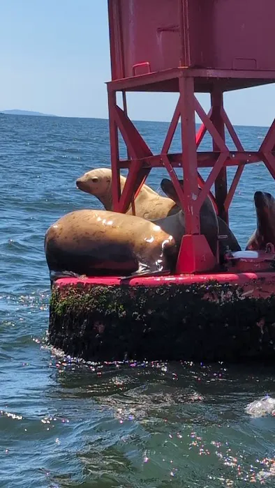 Half Moon Bay Campground Picture 5