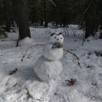 Meissner Sno-Park ico