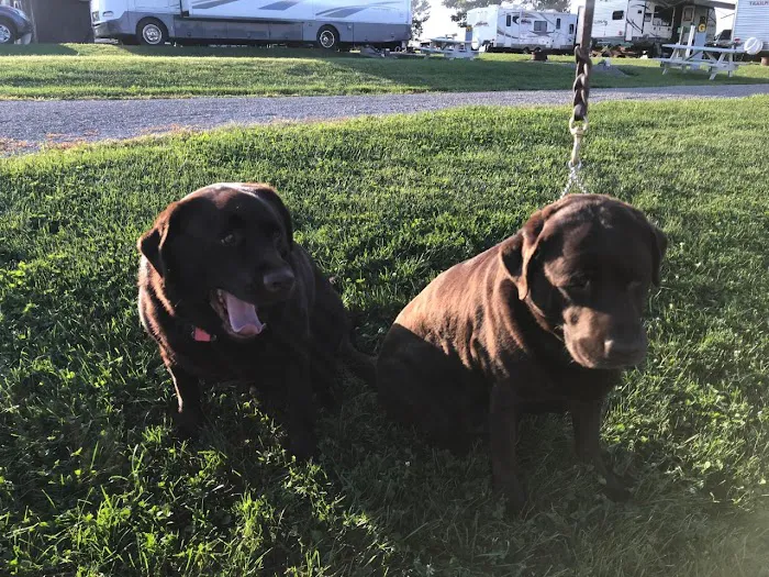 Scenic Hills RV Park Picture 8