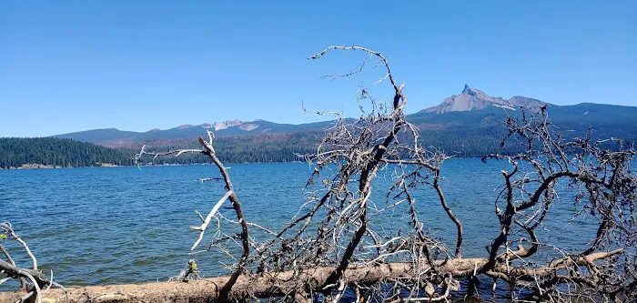 Lava Lake Resort Picture 4