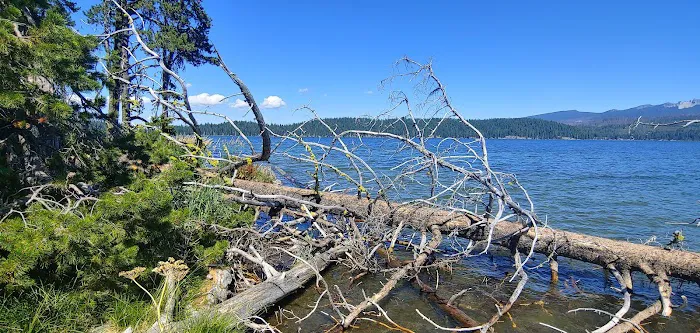 Lava Lake Resort Picture 7