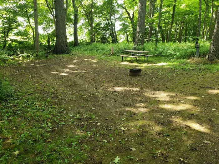 Gotta Getaway RV Park Picture 3