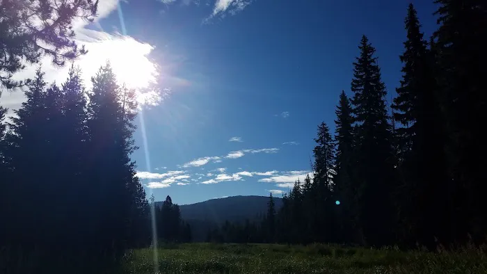 Little Lava Lake Campground and Boat Ramp Picture 1