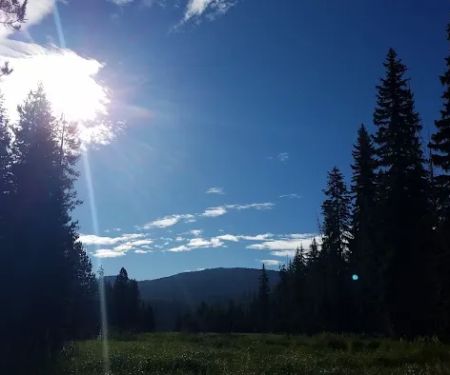 Little Lava Lake Campground and Boat Ramp